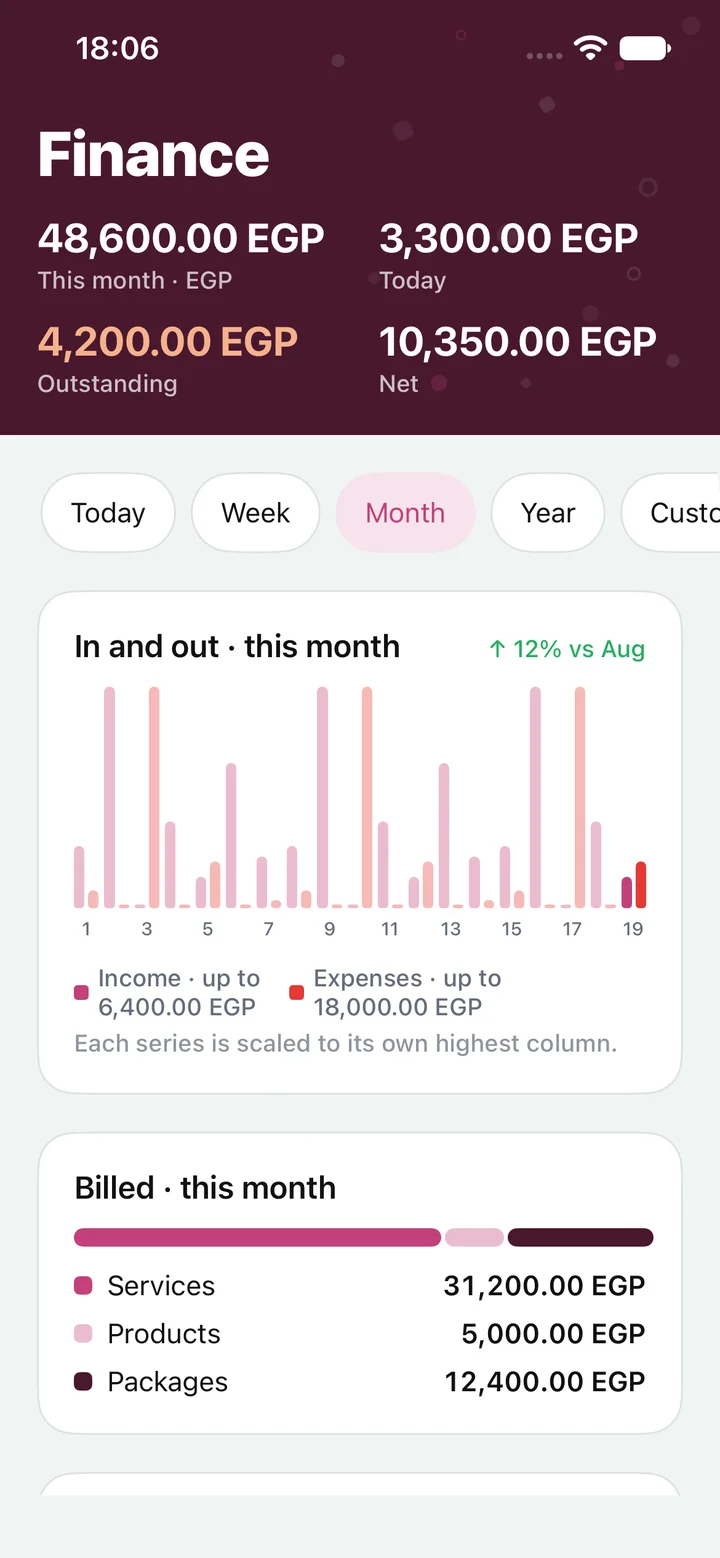 Climo finance: this month's income, outstanding balances and a bar chart